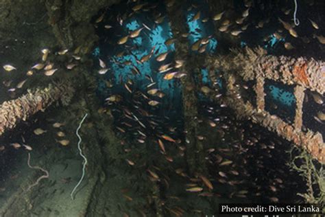 Dive Sites in Batticaloa .